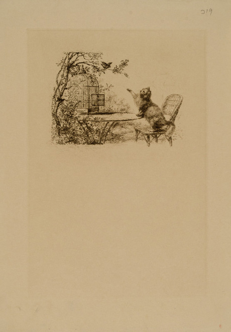 Սկզբնանկար. Լաֆոնտենի "Կատուն և երկու ճնճղուկները" առակի նկարազարդում (էջ 319)