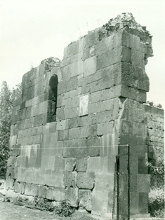 Լուսանկար