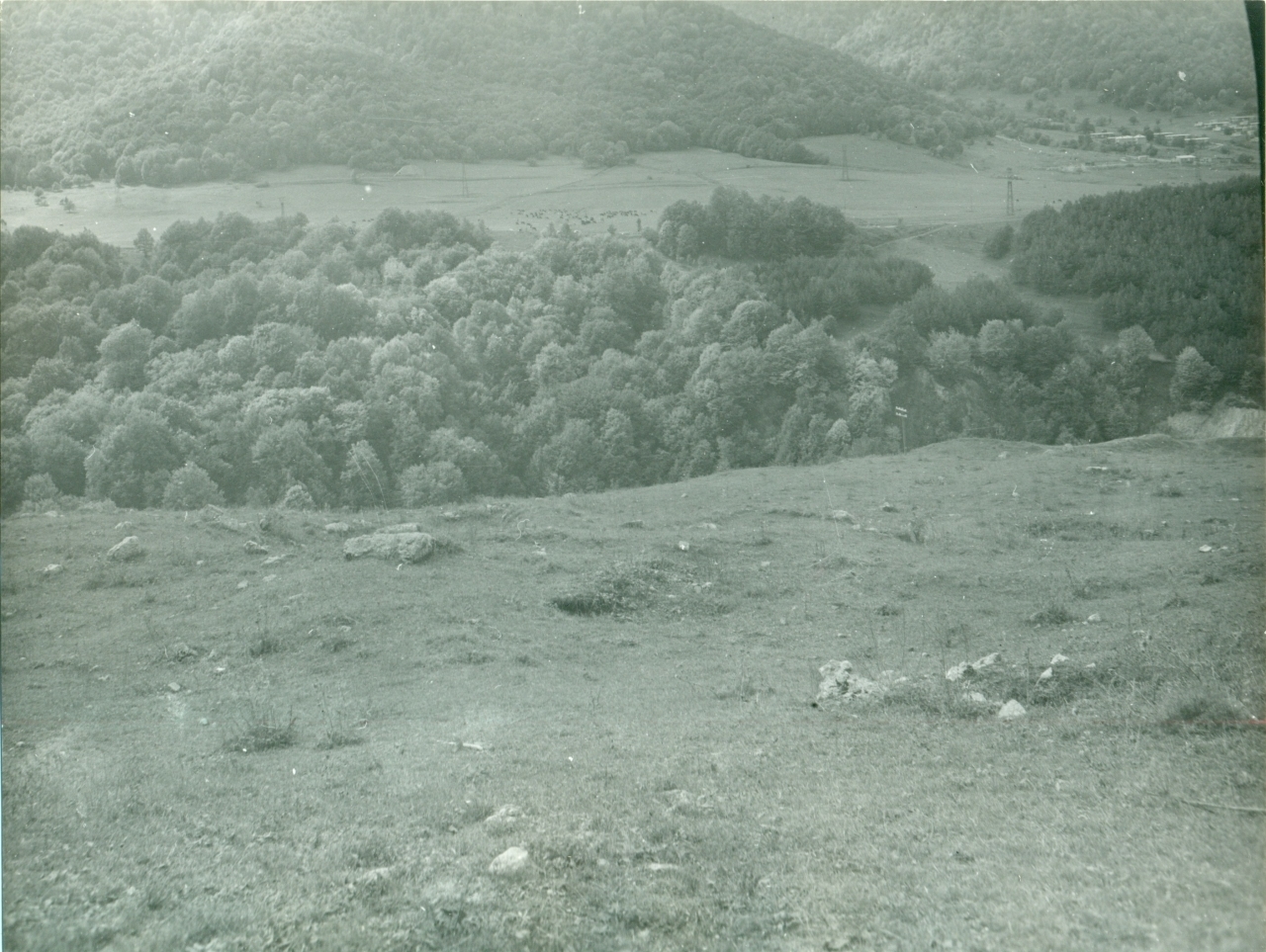 Լուսանկար