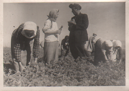 Կոլտնտեսականներ