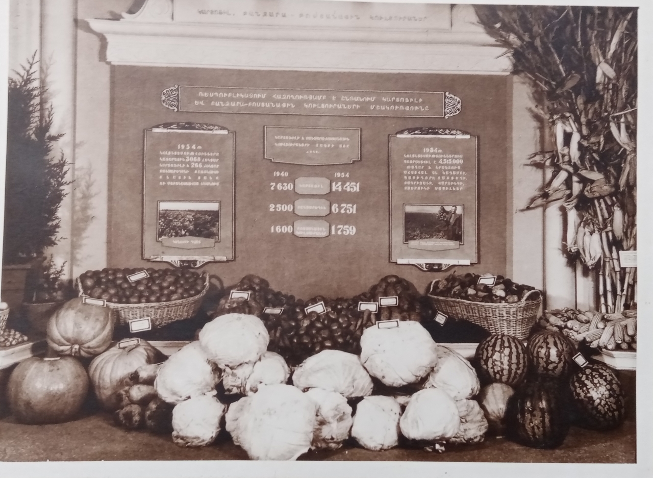 1955թ. գյուղատնտեսական ցուցահանդեսի կարտոֆիլի և բանջարաբոստանային կուլտուրաների վահանակը