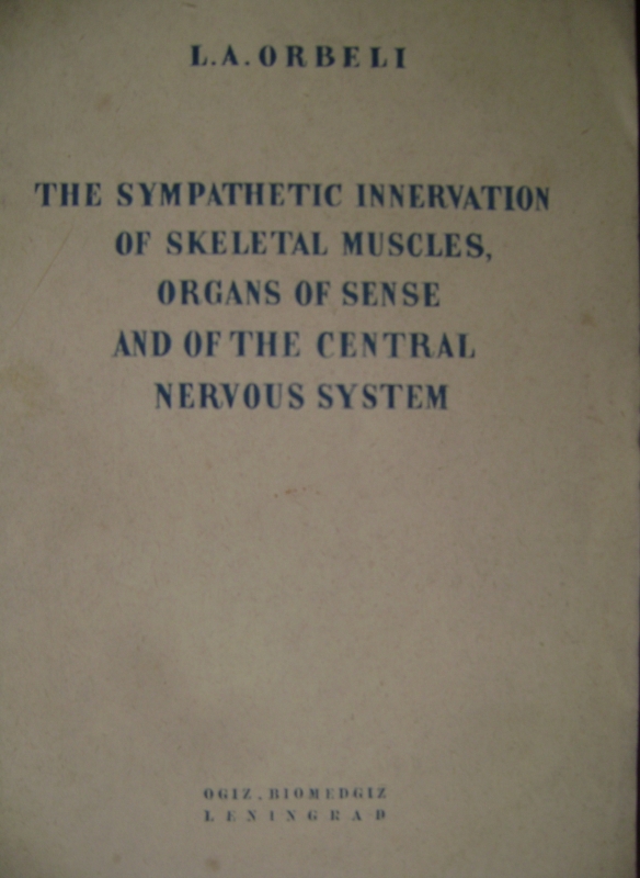 «THE  SYMPATHETIC  INNERVATION OF  SKELETAL  MUSCLES, ORGANS  OF SENSE AND OF THE  CENTRAL  NERVOUS  SISTEM»
