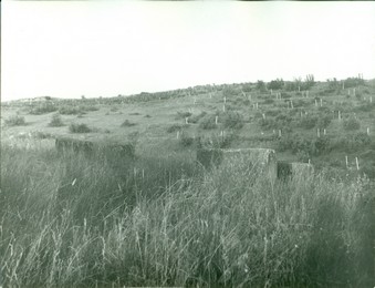 Գերեզմանոց