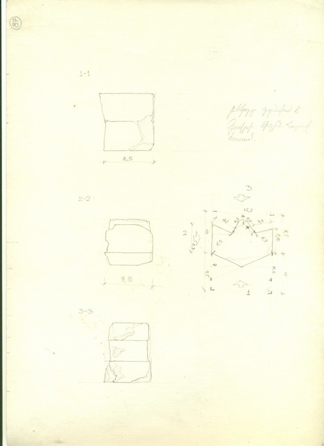 Չափագրություն