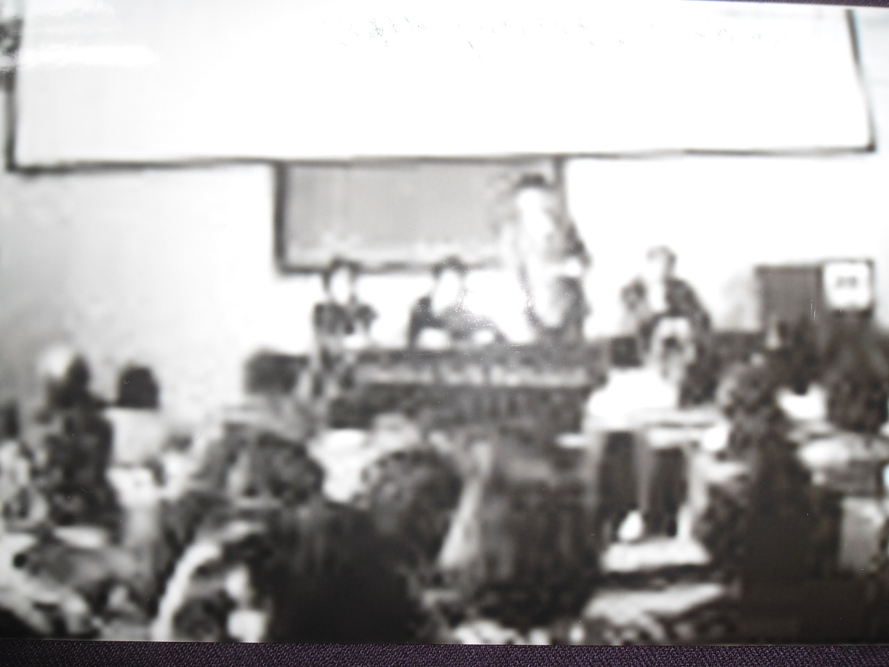 Հրանտ Գևորգի Բատիկյանը  ( Կենսաբան-գենետիկ, ՀԽՍՀ գիտության վաստակավոր գործիչ, կենսաբանական գիտությունների դոկտոր, պրոֆեսոր) գիտաժողովի ժամանակ