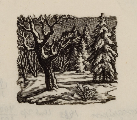 Հմայչուհու ձեռով կախարդված է անտառը (Տյուտչևի «Բանաստեղծություններ» գրքի նկարազարդում)
