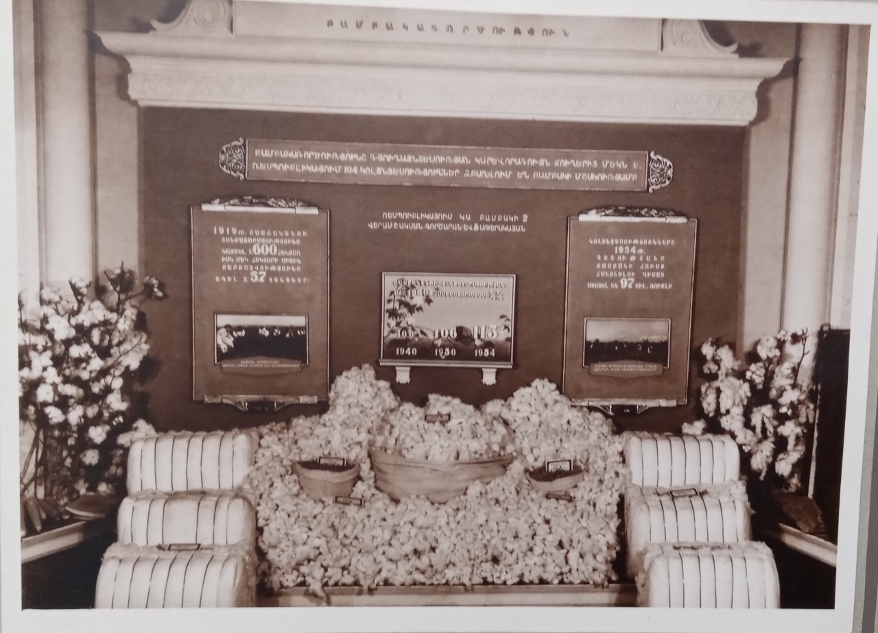 1955թ. գյուղատնտեսական ցուցահանդեսի բամբակագործության վահանակը