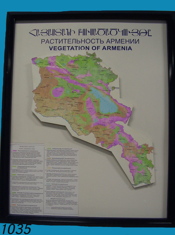 Քարտեզ՝ Հայաստանի բուսածածկույթը