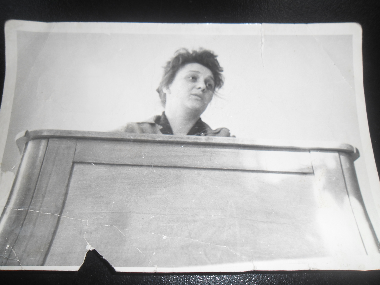 Մկրտիչ Սերգոյի Դաշտոյանի ( Հայրենական պատերազմի մասնակից,Իտալիայի ազգային հերոս) դուստր՝ Վիլենա Դաշտոյան