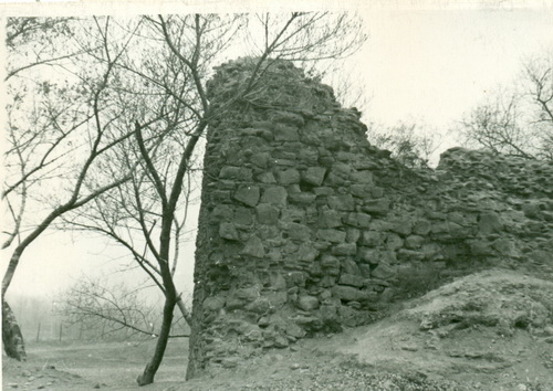 Ռուսթավի ամրոց, պարսպապատ (Վրաստան)