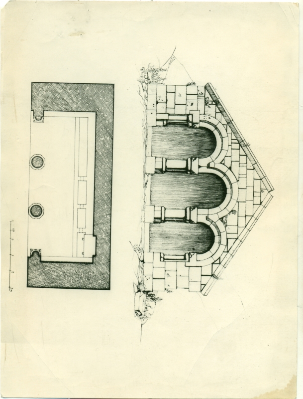 Լուսանկար