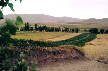 Սանգիբարան