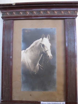 Սմբատ Մելիք-Ստեփանյանի ձիու՝ Սերայի, լուսանկարը