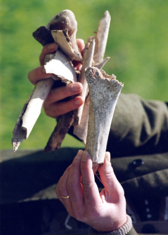 Ռաս ուլ Այնի դաշտից գտնված հայ նահատակների ոսկորներ