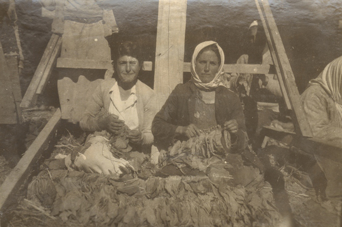 Ծխախոտի չորանոցում աշխատող կանայք Բասարգեչար (այժմ Վարդենիս) գյուղում