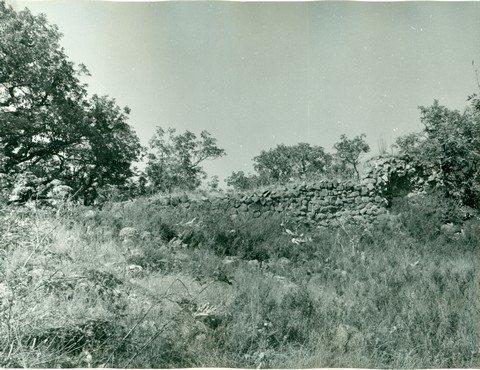 Ամրոցի մնացորդներ