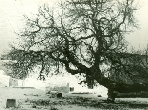 Ապշերոնյան թերակղզի, ամրոց