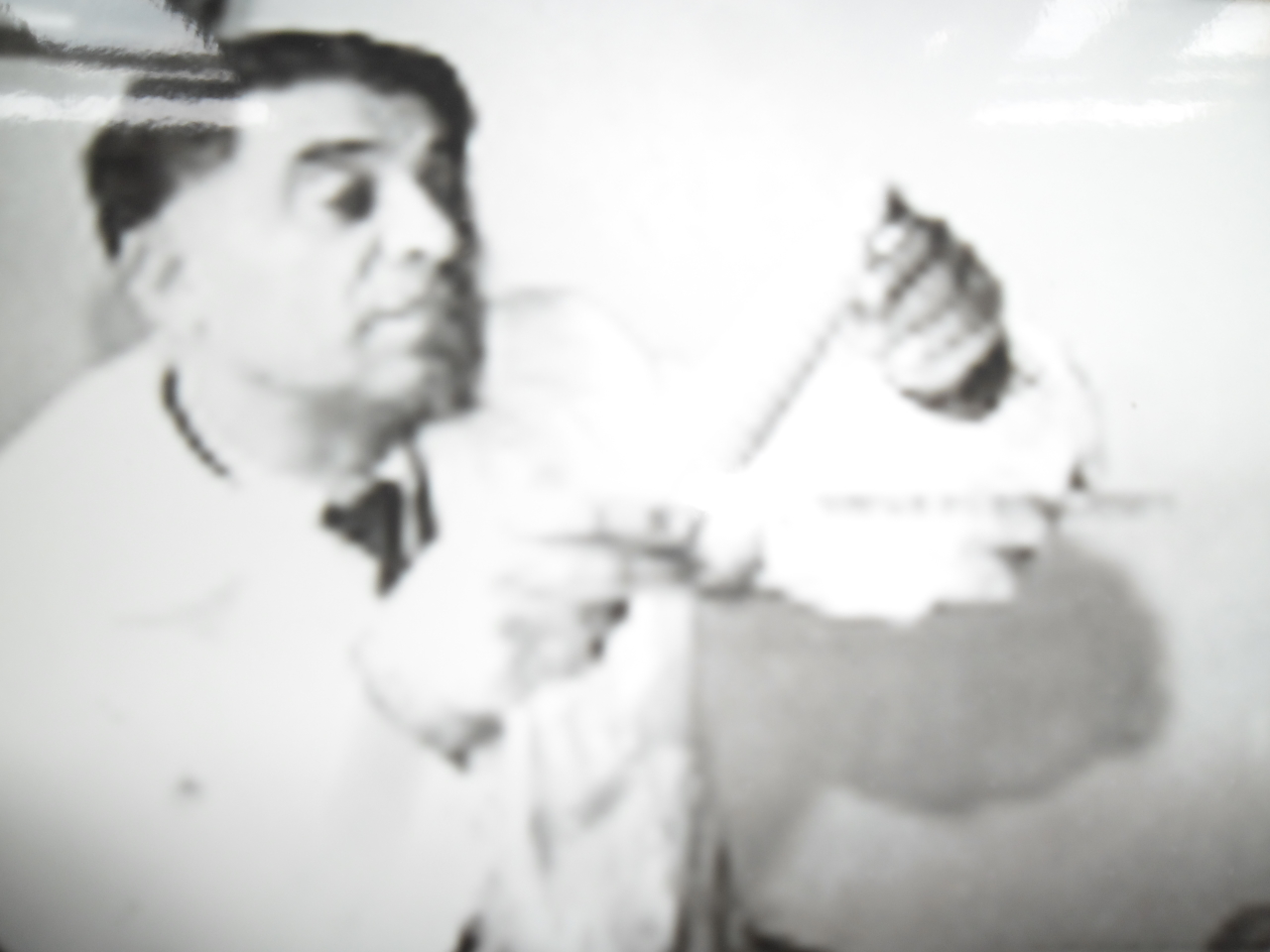 Հրանտ Գևորգի Բատիկյան  (1909-1983 թթ.) -Կենսաբան-գենետիկ, ՀԽՍՀ գիտության վաստակավոր գործիչ, կենսաբանական գիտությունների դոկտոր, պրոֆեսոր