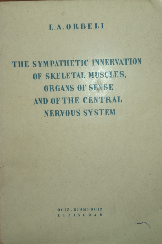 THE SYMPATIHIC INNERVATION OF SKELETAL MUSCLES, ORGANS OF SENSE AND OF THE CENTRAL NERVOUS SYSTEM