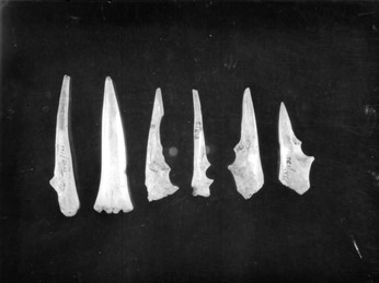 Սևապակի՝ ոսկրե գործիքների պատկերներով
