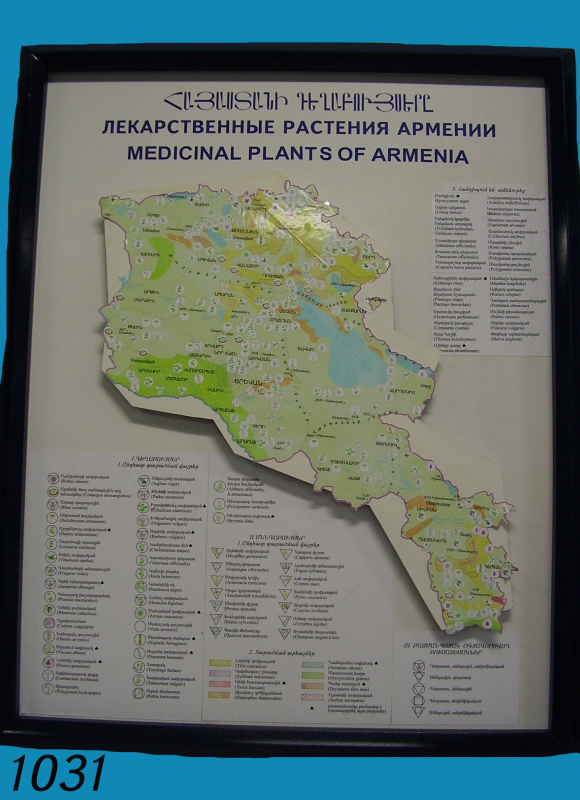 Քարտեզ ՝ Հայաստանի դեղաբւյսեր